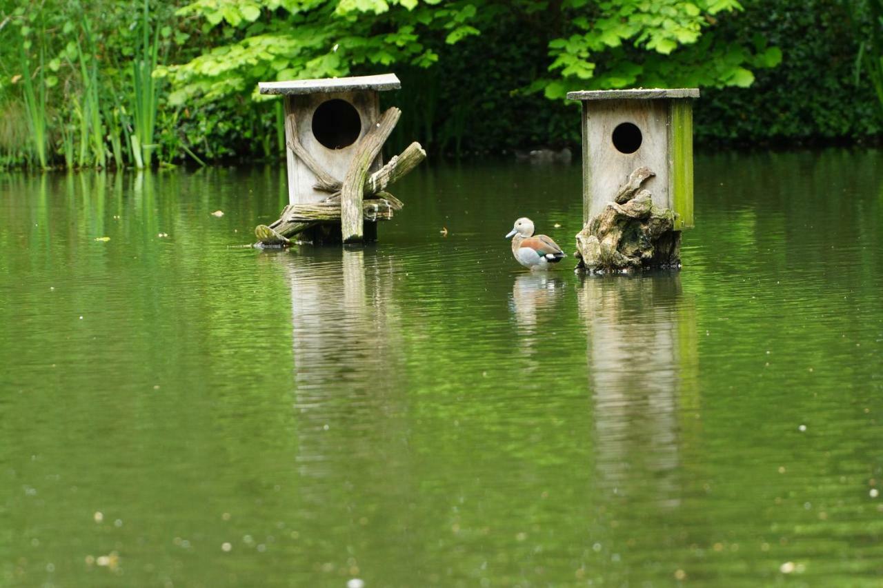 Gaestewohnung Hardinghaus Am Teich วาเรนดอร์ฟ ภายนอก รูปภาพ